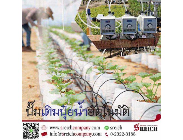 วิธีการให้น้ำและปุ๋ยไม้ผลแบบ Smart Farmer ให้ได้ทั่วทั้งสวนด้วยปั๊มฟีดอัตโนมัติ