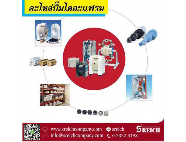 อะไหล่ปั๊มไดอะแฟรมคุณภาพดีมาตรฐานยุโรป - Diaphragm Part	