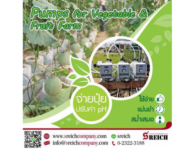 Dosing pump ปั๊มจ่ายปุ๋ยในระบบน้ำแก่พืชผล ผัก อย่างมีประสิทธิภาพ 