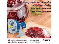 ปั๊มอาหาร ปั๊มสูบส่งของเหลวหนืด มีชิ้นเนื้อปน – S Reich