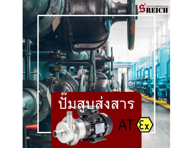 Centrifugal Industrial Pumps เครื่องปั๊มโซดาไฟ ปั๊มน้ำกรด มาตรฐานยุโรป